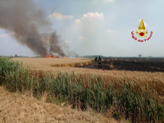 Incendio di un campo di grano coinvolti 6 ettari