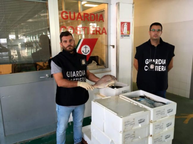Blitz al mercato ittico di Venezia: sequestrati 115 Kg di pesce