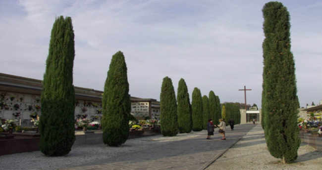 Al via la raccolta differenziata nei cimiteri di San Donà di Piave