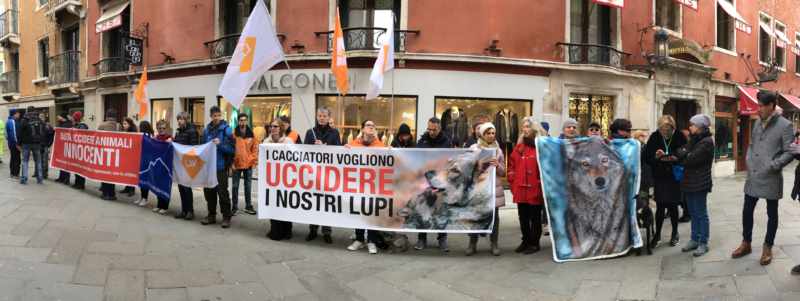 Sit-in degli animalisti contro la legge "ammazza-lupi" - Televenezia