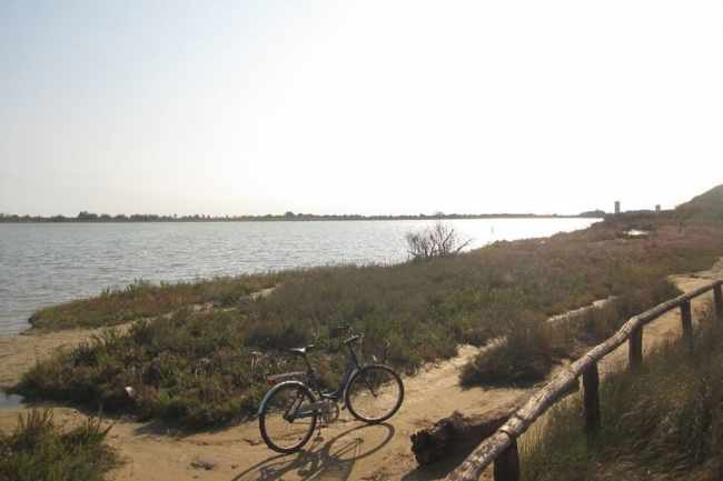 Laguna del Mort ripulita dai detriti delle mareggiate